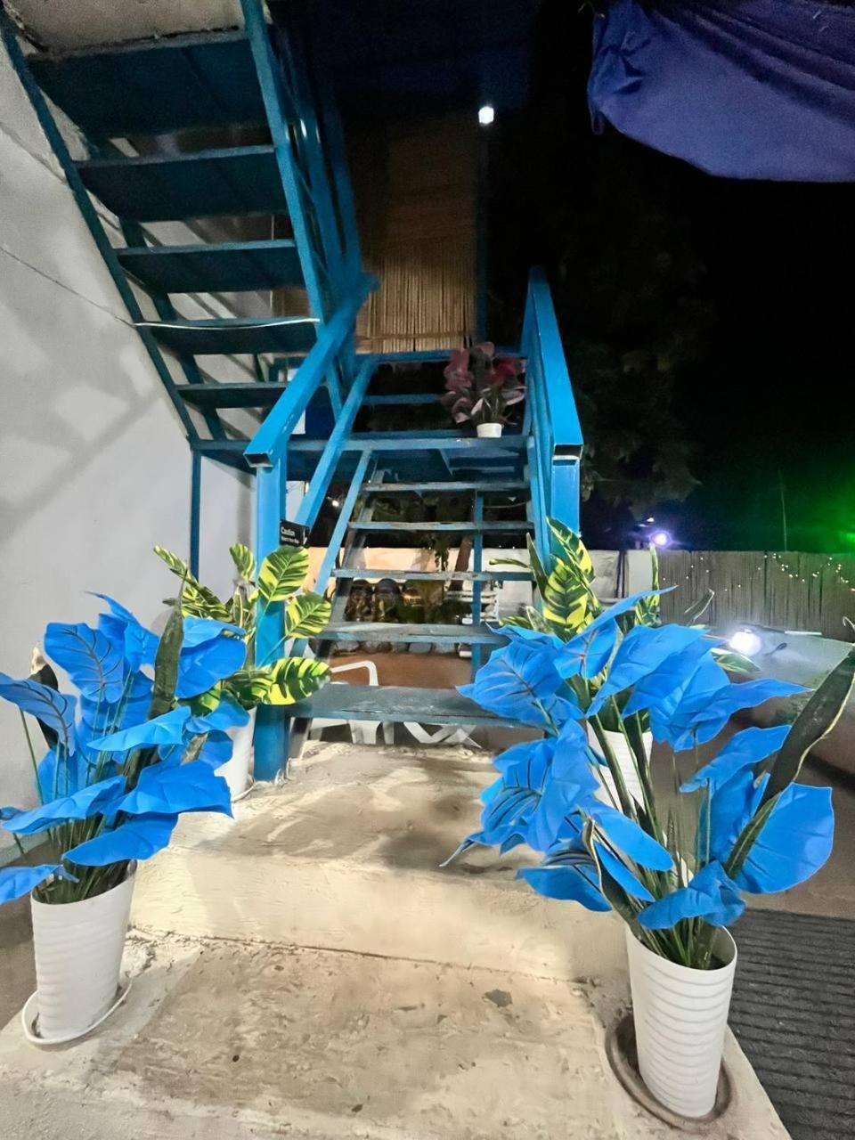 Casa Montemar Heights Корон Екстер'єр фото